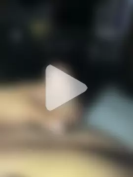 papillon013 photo 18