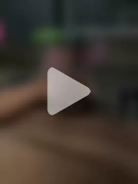 papillon013 photo 14