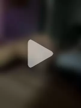 papillon013 photo 11