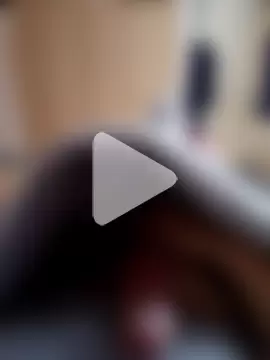 pascalino100 photo 1