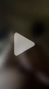 pedronovinho123 photo 23