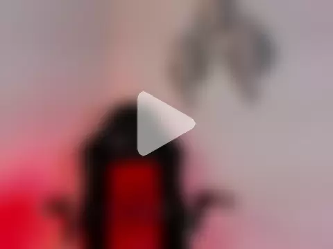 perlaloversxxx photo 21