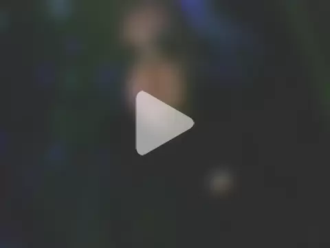 perversalus photo 26