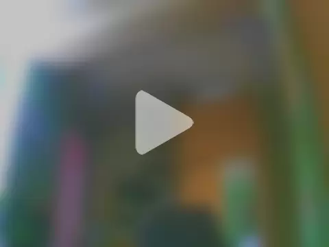 perversalus photo 24