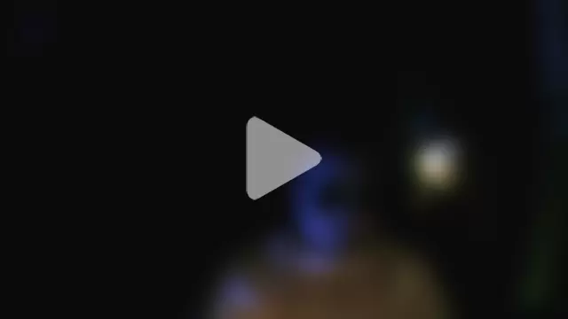 perversalus photo 23