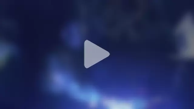 perversalus photo 19