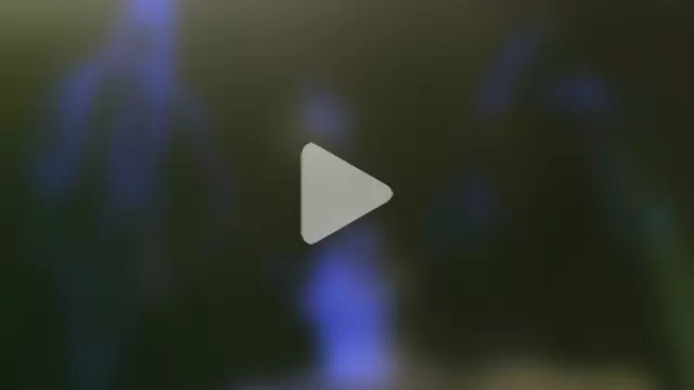 perversalus photo 18