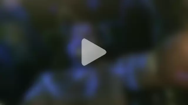 perversalus photo 17