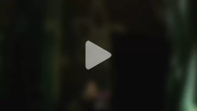 perversalus photo 13