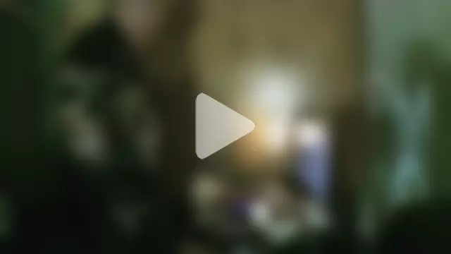 perversalus photo 10