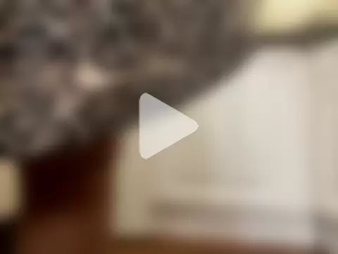 petite-Alondra photo 16