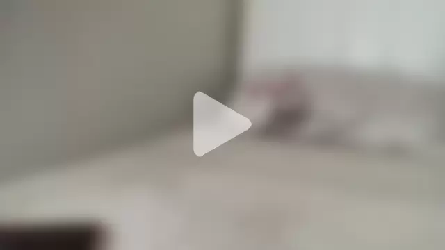 petitebeauty photo 4