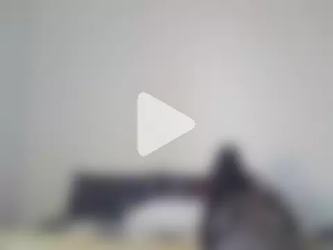 petiteebony_81 photo 3