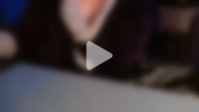 petitoiseau67 photo 14