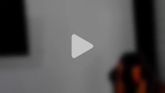 pettergrey1 photo 16