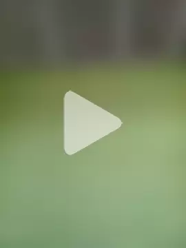 phumlanisanka photo 4