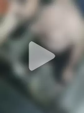 pikalindaxx photo 11