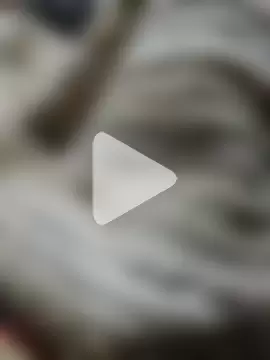 pitudoricoxxx photo 3