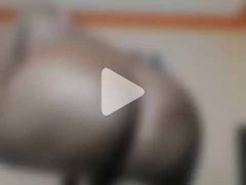 playful_dora photo 8