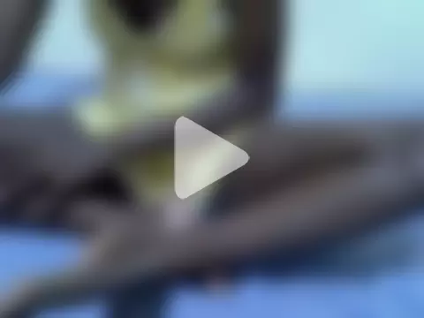 pointy_bloom photo 14