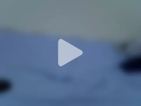 pointy_bloom photo 11