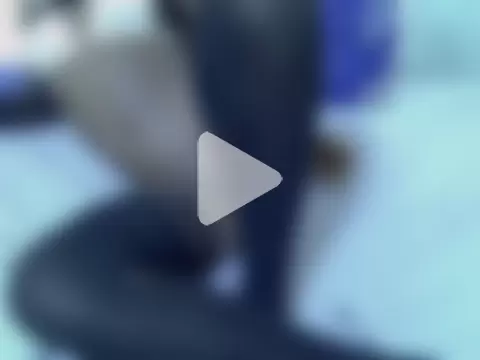 pointy_bloom photo 17