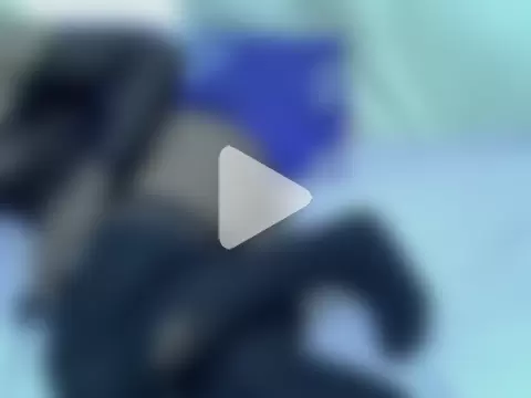 pointy_bloom photo 3