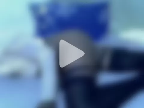 pointy_bloom photo 2