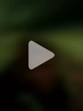 pornstarbrezillian photo 26