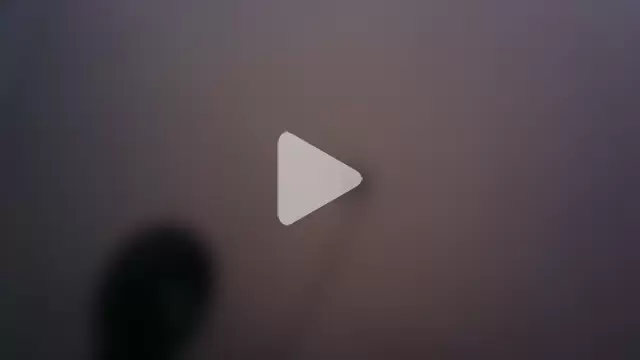 pornstarbrezillian photo 17