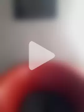 poussichienne photo 22