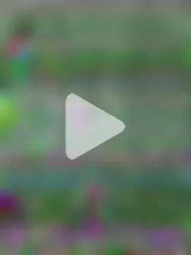 presale photo 2