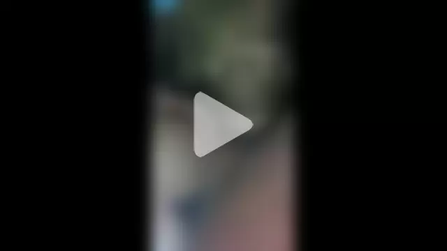 pretinha_br photo 18