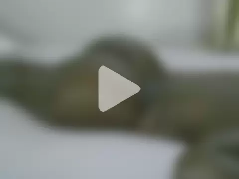 pretty_viel photo 14