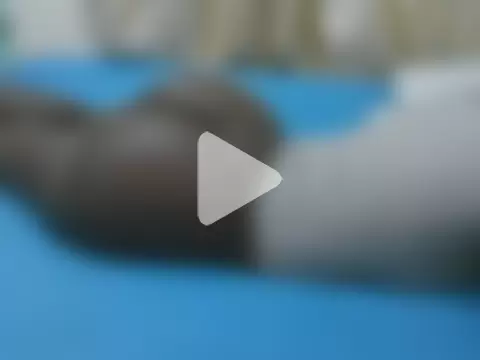 pretty_viel photo 21