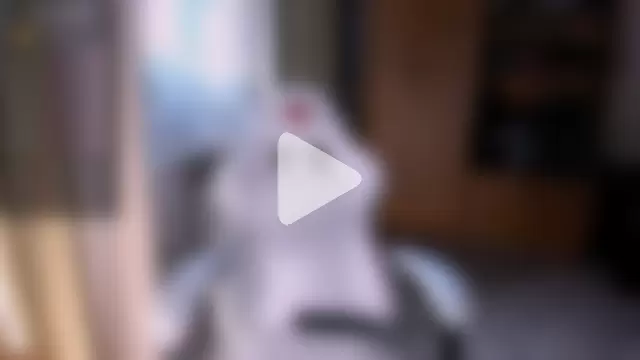 princessaalicc photo 16