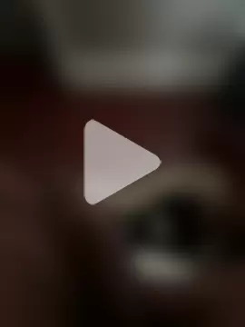 pussyeater4k photo 21