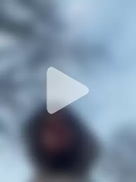 pussyeater_- photo 6