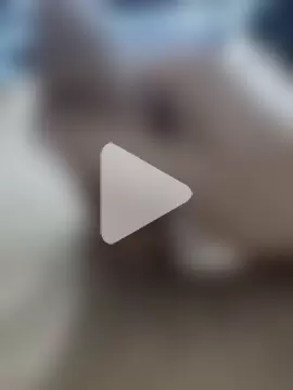 quierodarleche69 photo 18