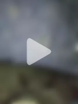 raider000000 photo 1