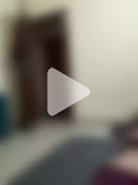 rajstrip12650 photo 14