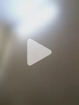 rajstrip12650 photo 9