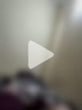 rajstrip12650 photo 7