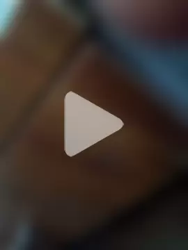 rajstrip12650 photo 6