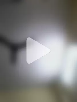 rajstrip12650 photo 4