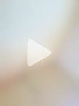 rajstrip12650 photo 3