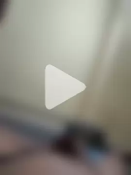 rajstrip12650 photo 20