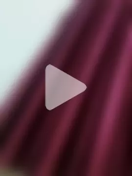 rajstrip12650 photo 16