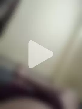 rajstrip12650 photo 13