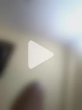 rajstrip12650 photo 5